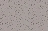 12x12 rubber floor tiles